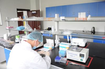 黃梅縣市場監(jiān)督管理局食品快檢服務中心11月22日-26日檢測結果公示